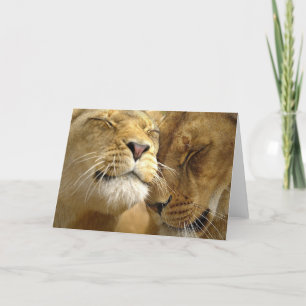 Carte de voeux de lions