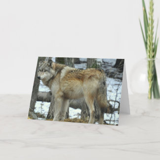 Carte de voeux de loup gris