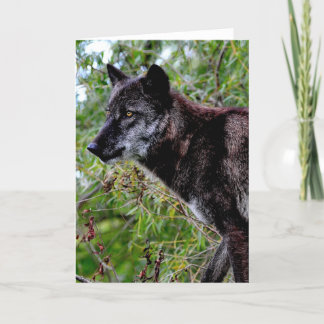 Carte de voeux de loup noir