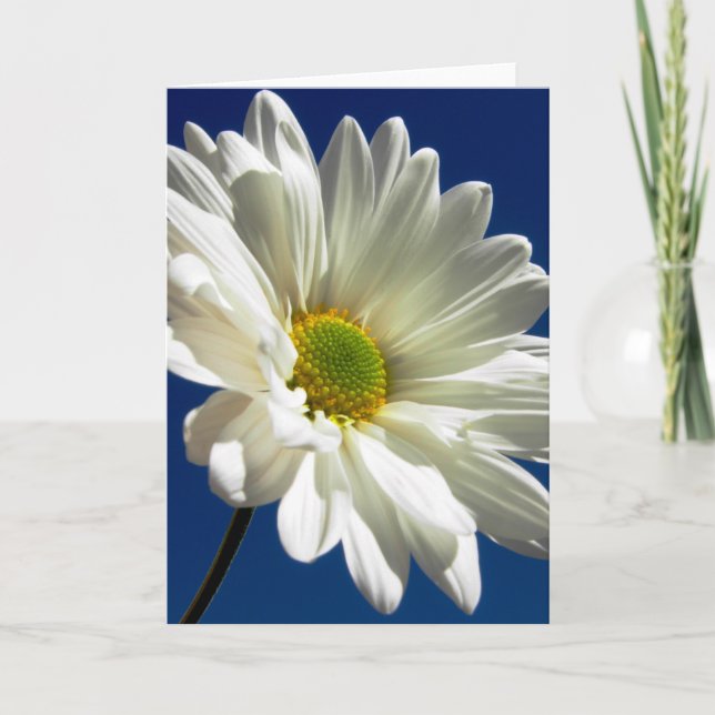 Carte de voeux de marguerite (Devant)