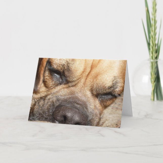 Carte de voeux de mastiff de sommeil (Devant)