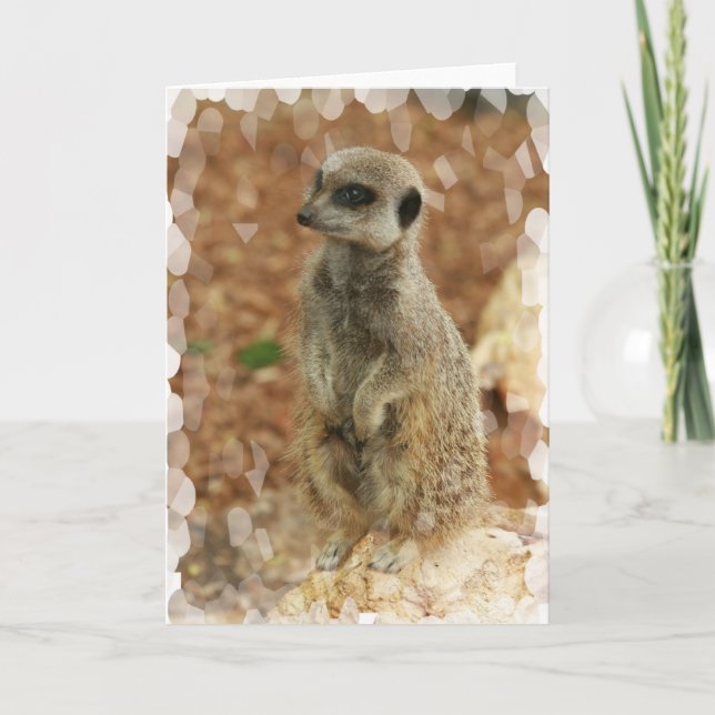 Carte de voeux de Meerkat de bébé (Devant)