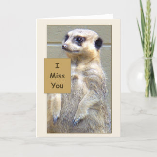 Carte de voeux de Meerkat tu me manque