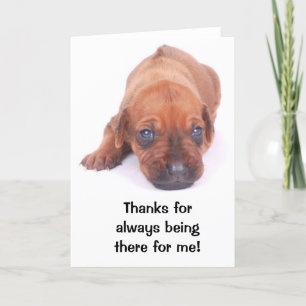 Carte de voeux de MERCI de Rhodesian Ridgeback