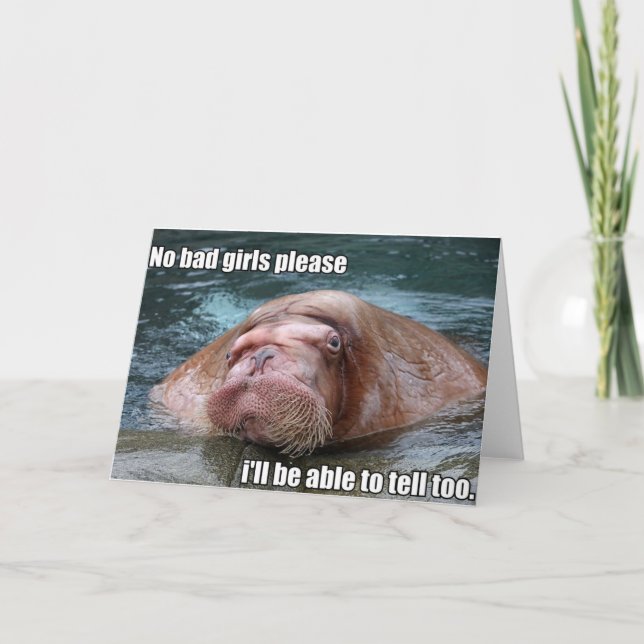 Carte de voeux de morse de Judgy (Devant)