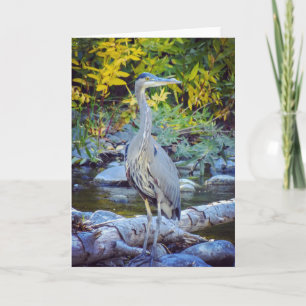 Carte de voeux de nature de NorCal : Carte de