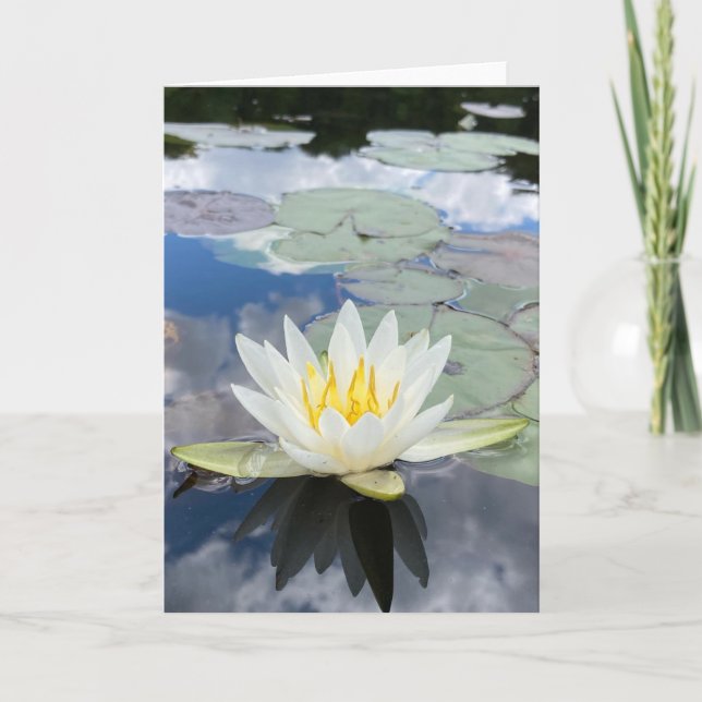 carte de voeux de nénuphar (vide à l'intérieur) (Devant)