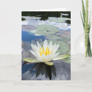 carte de voeux de nénuphar (vide à l'intérieur)