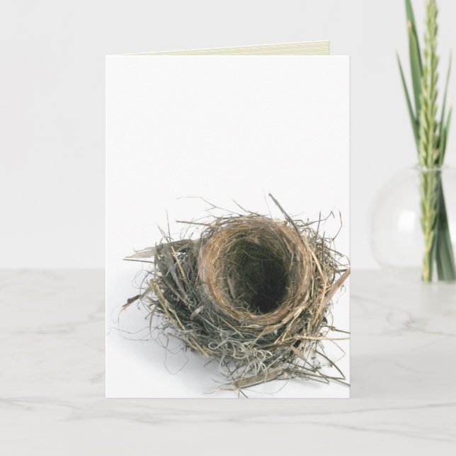 carte de voeux "de nid vide" (Devant)