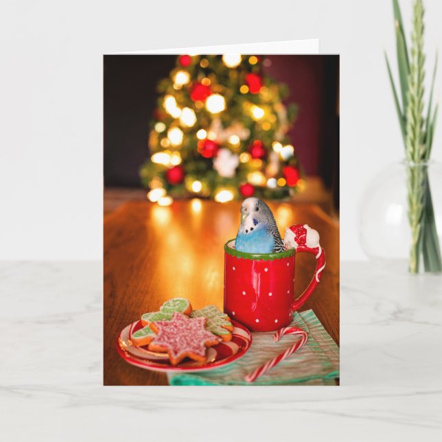 Carte de voeux de Noël à la carte bleue Parakeet (Devant)