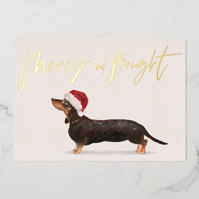 Carte de vœux de Noël avec chien teckel Joyeux (Recto)