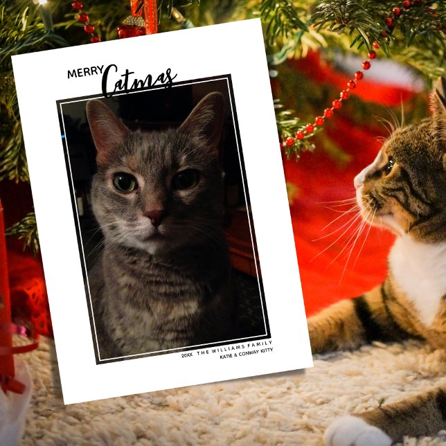 Carte de vœux de Noël avec photo de votre animal J (Créateur téléchargé)