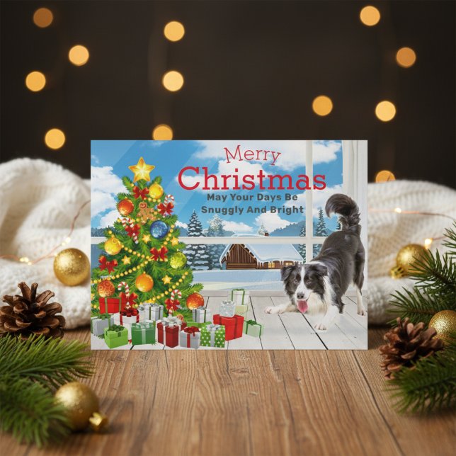 Carte de vœux de Noël Border Collie (Border Collie Christmas Greeting Holiday Postcard)