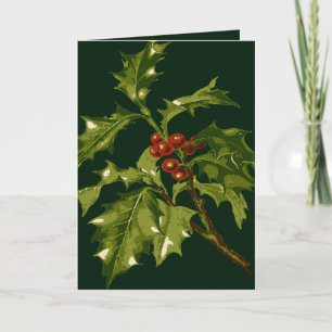 Carte de vœux de Noël brindille de houx à baies ro