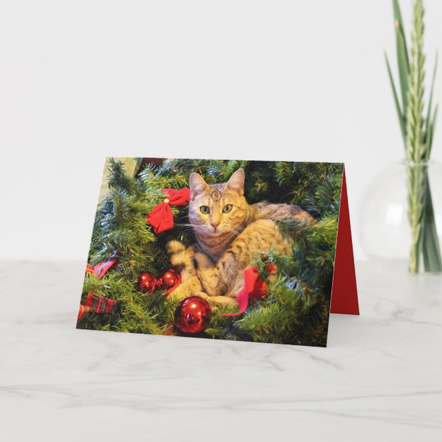 Carte de voeux de Noël de chat de vacances de (Devant)