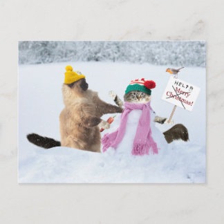 Carte de voeux de Noël de chat drôle