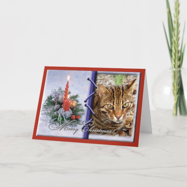 Carte de voeux de Noël de chat du Bengale (Devant)