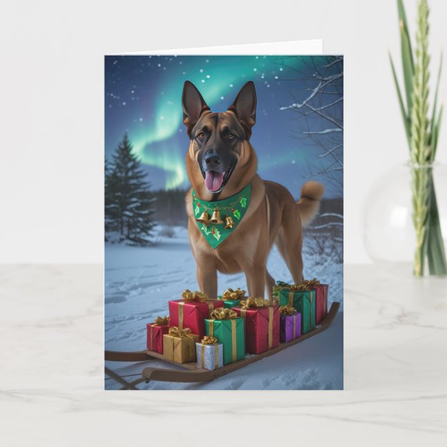 Carte de voeux de Noël de chien Malinois belge (Devant)