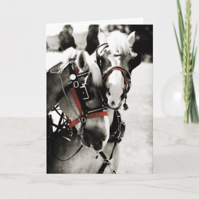 Carte de voeux de Noël de deux chevaux (Devant)