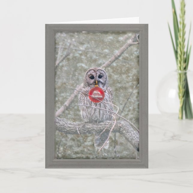 Carte de voeux de Noël de la Chouette barrée (Devant)