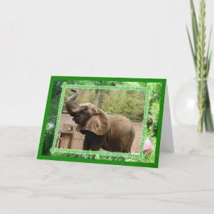 Carte de voeux de Noël des éléphants africains