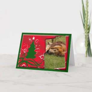 Carte de voeux de Noël du lion africain