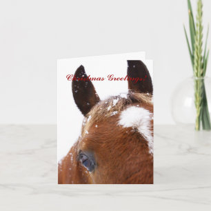 Carte de voeux de Noël pour Cheval d'hiver