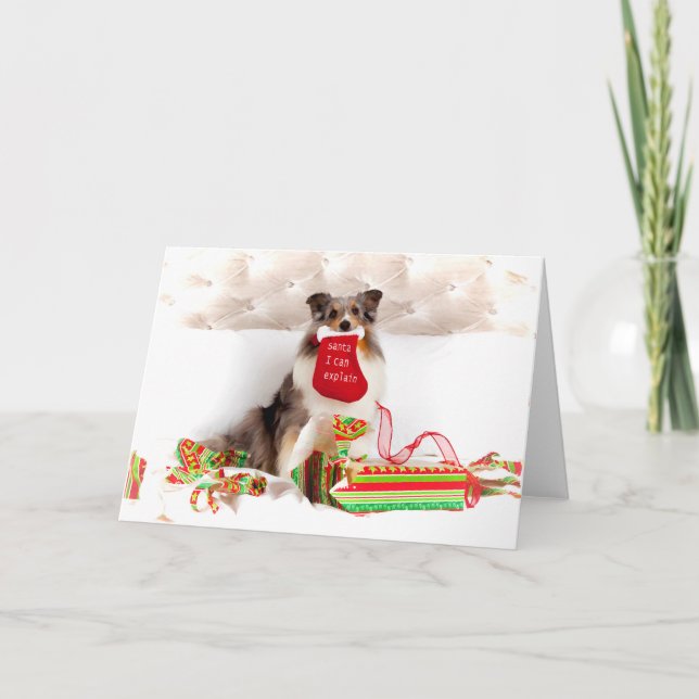 Carte de voeux de Noël Shetland Sheepdog (Devant)