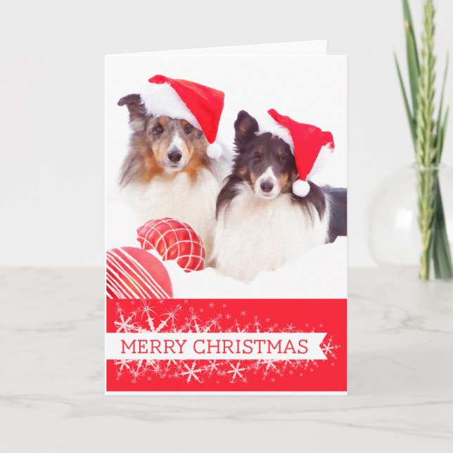 Carte de voeux de Noël Shetland Sheepdog (Devant)