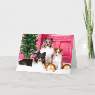Carte de voeux de Noël Shetland Sheepdog