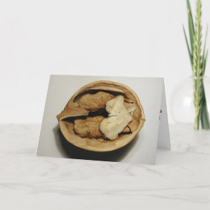 Carte de voeux de noix