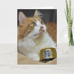 Carte de voeux de nouvelles années de délivrance