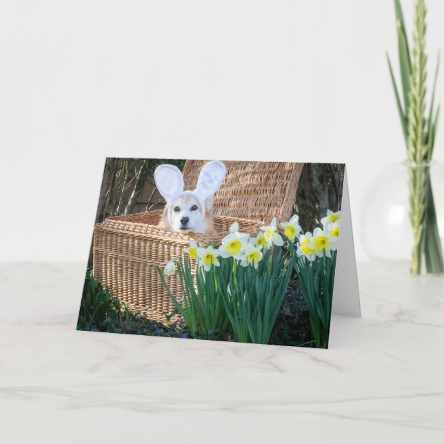 Carte de vœux de Pâques Corgi dans un panier (Devant)