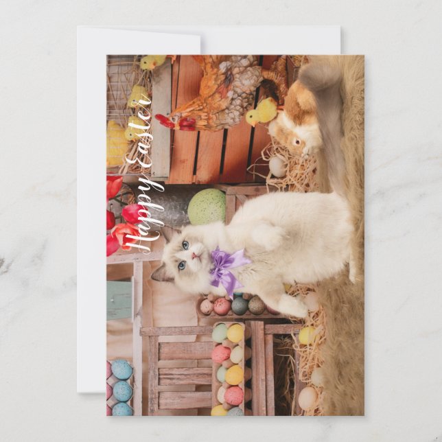 Carte de voeux de Pâques de Chat Ragdoll (Devant)