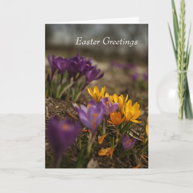 Carte de voeux de Pâques pliée Crocus Spring (Devant)
