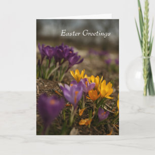 Carte de voeux de Pâques pliée Crocus Spring