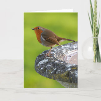 Carte de voeux de patron de yard