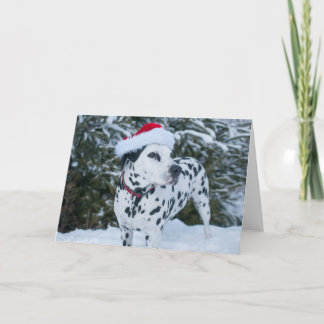 Carte de voeux de Père Noël de Dalmate