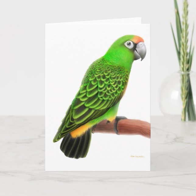 Carte de voeux de perroquet de Jardines (Devant)