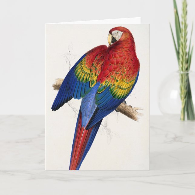 Carte de voeux de perroquet tropical (Devant)