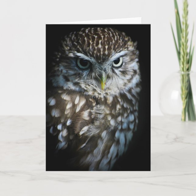 Carte de voeux de petit hibou (Devant)