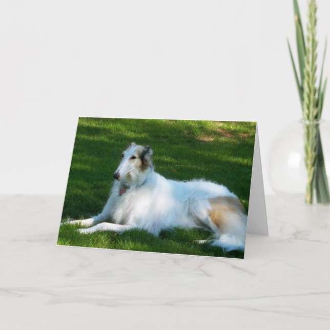 Carte de voeux de photo de chien de "barzoï" (Devant)