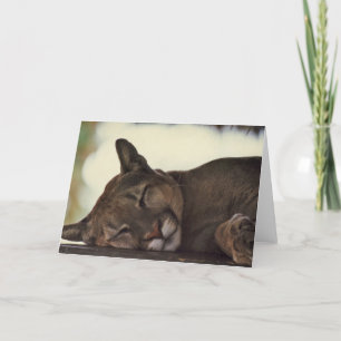Carte de voeux de photo de faune de "sommeil