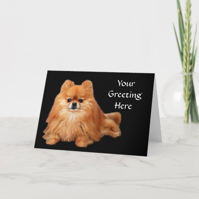 Carte de voeux de Pomeranian (Devant)