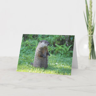 Carte de voeux de porc moulu