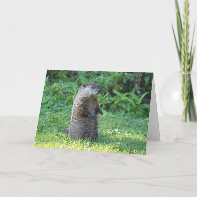 Carte de voeux de porc moulu (Devant)