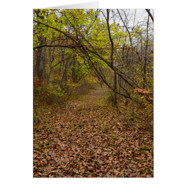 Carte de vœux de promenade automnale (Devant)