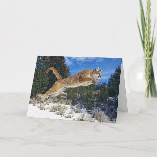 Carte de voeux de puma (Devant)