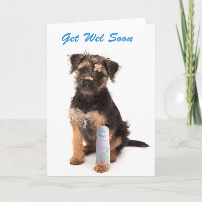 Carte de vœux de rétablissement Border Terrier chi (Devant)