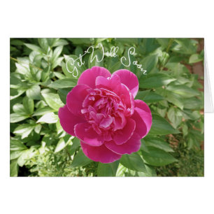 Carte de vœux de rétablissement Fleur de pivoine r